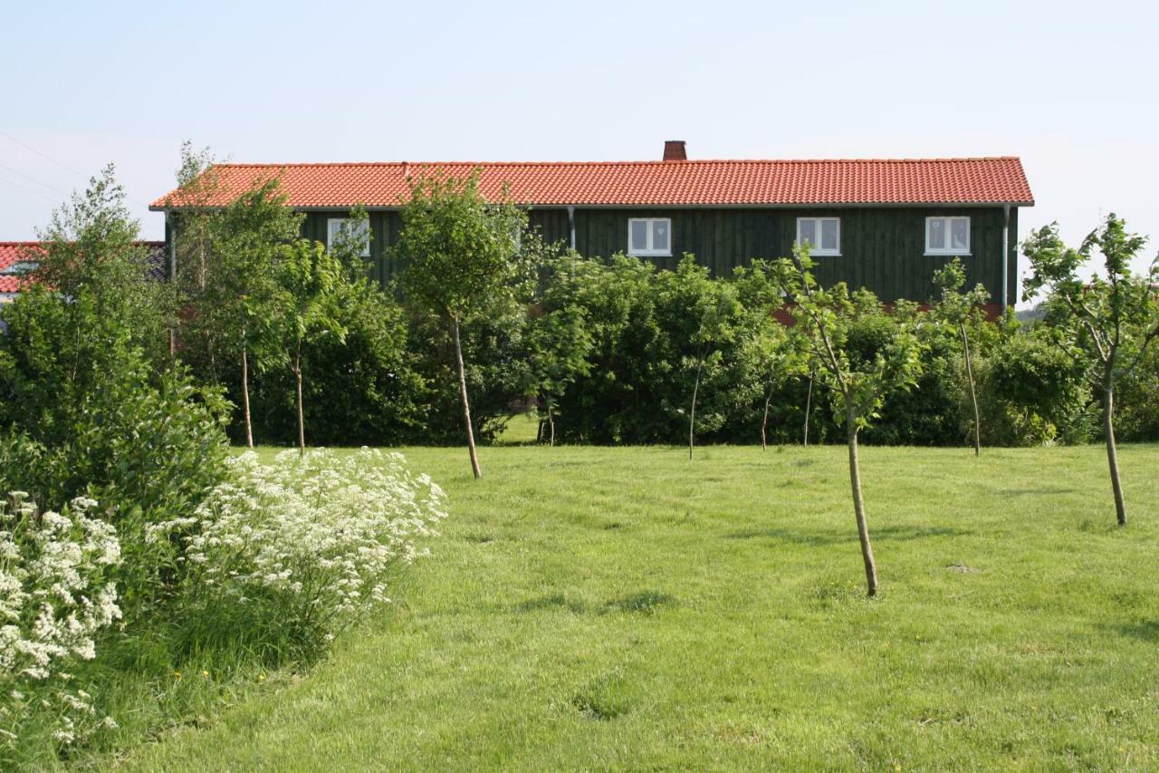 " Haus Zwischen Den Meeren " Strubbel Екстериор снимка